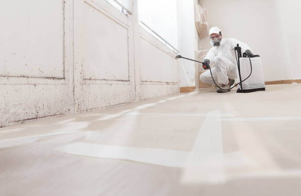 24/7 Emergency Crawl Space Mold Removal experts in Souderton, PA