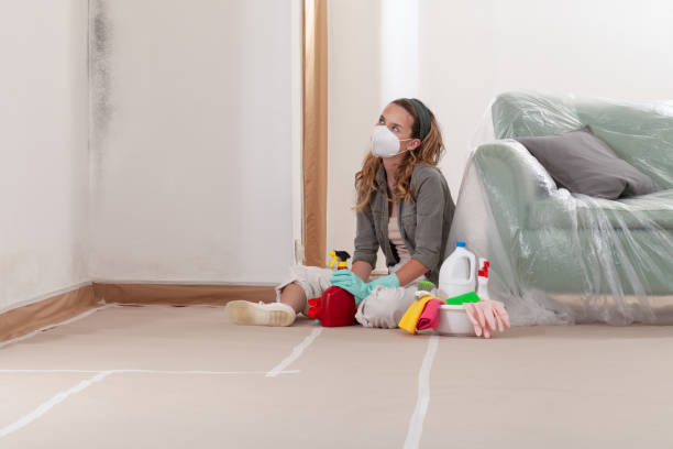 Reliable Crawl Space Mold Removal contractor in Souderton, PA by WQB Mold Removal