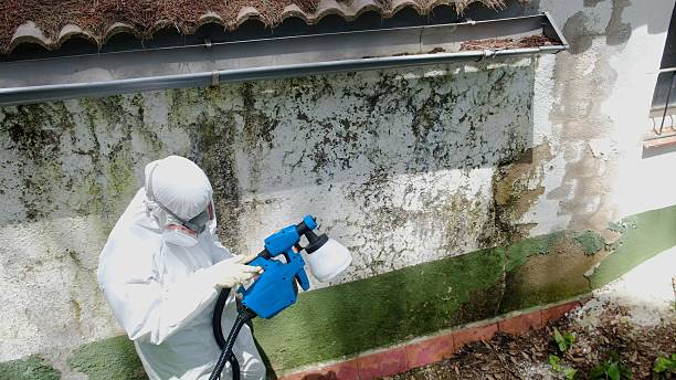 Top rated local Crawl Space Mold Removal specialists in Souderton, PA